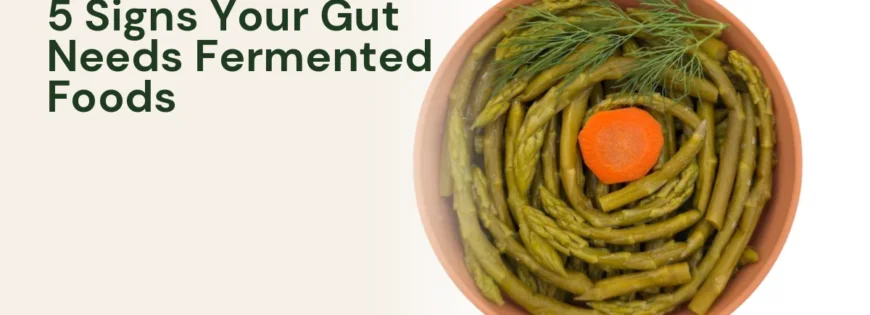 MyZucchini asparagus — 5 signs your gut microbiome needs more fermented foods