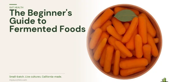 MyZucchini fresh vegetables — the complete beginner's guide to eating fermented foods