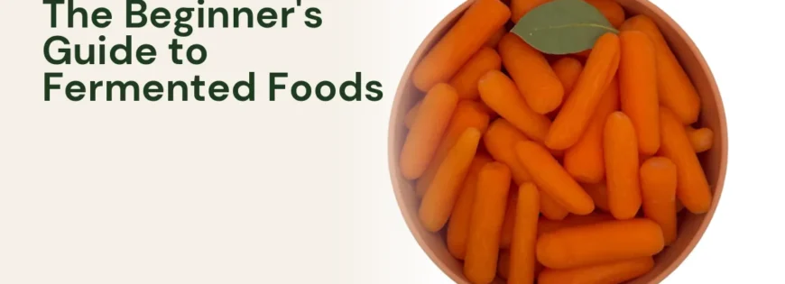 MyZucchini fresh vegetables — the complete beginner's guide to eating fermented foods
