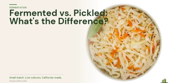 MyZucchini fermented cabbage — comparing fermented vs pickled vegetables