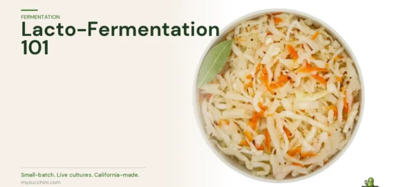 MyZucchini fermented cabbage — the science of lacto-fermentation explained