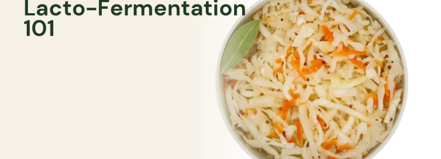MyZucchini fermented cabbage — the science of lacto-fermentation explained