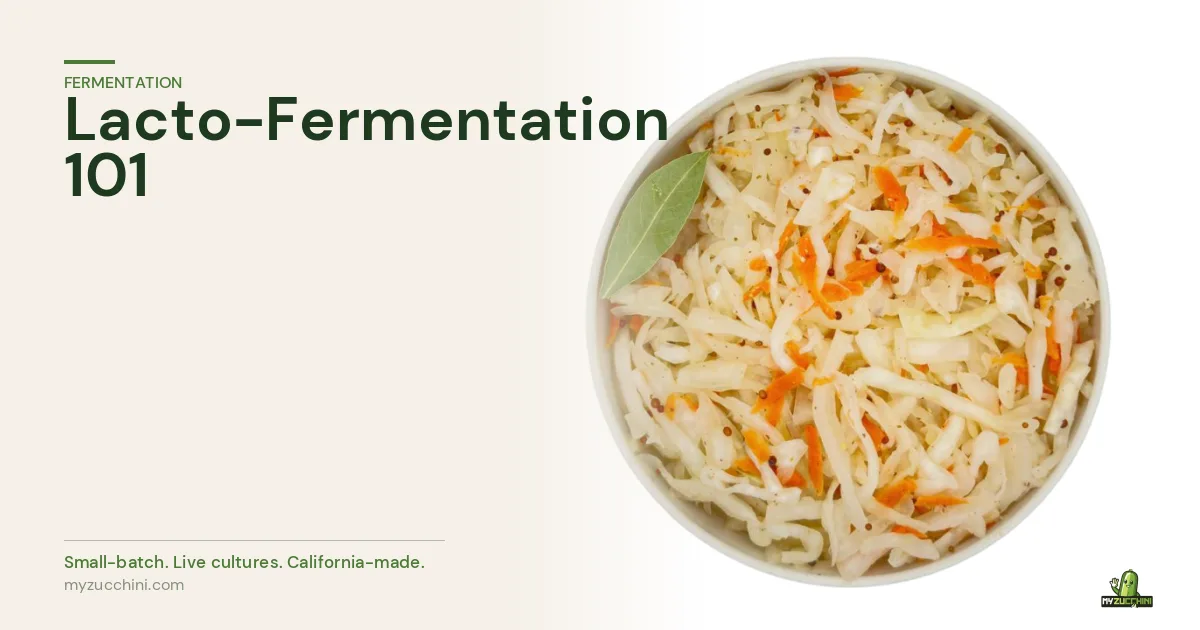 MyZucchini fermented cabbage — the science of lacto-fermentation explained