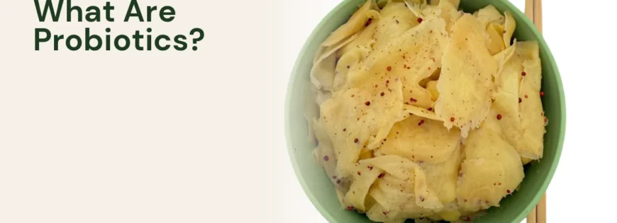 MyZucchini fresh ginger — understanding probiotics and live cultures in food